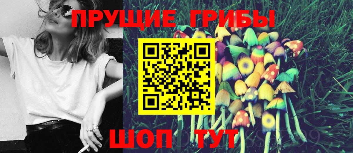 Галлюциногенные грибы мухоморы  магазин  наркотиков  Вход с VPN  Ачхой-Мартан  Галлюциногенные грибы мухоморы 