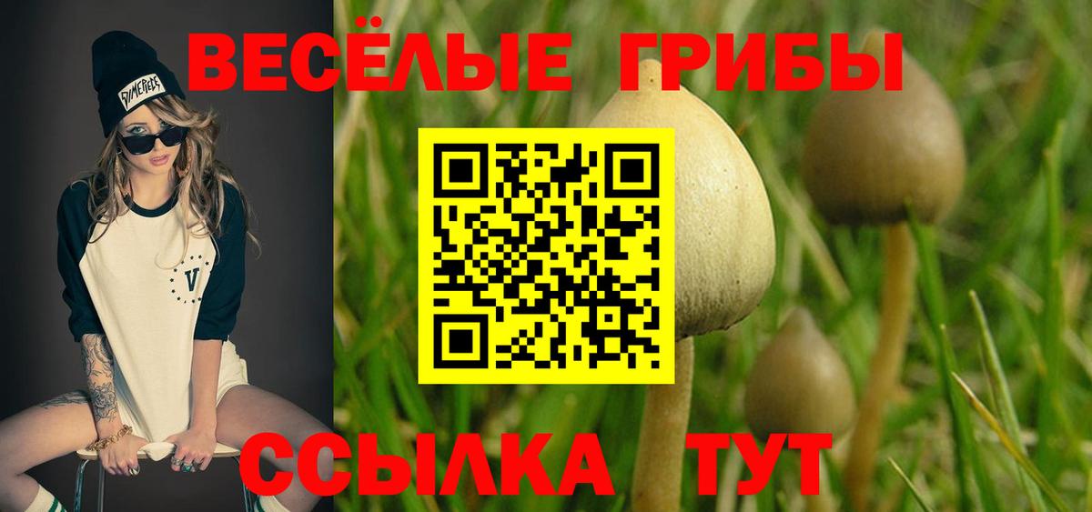 Галлюциногенные грибы ЛСД Ачхой-Мартан