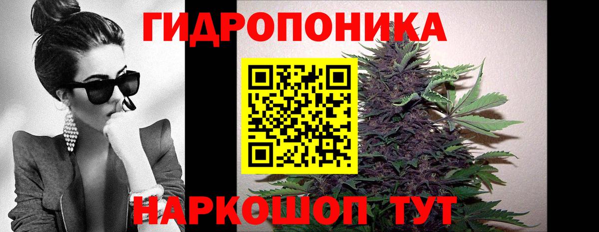 Канабис ГИДРОПОН  Шишки марихуана THC 21%  Канабис индика  Ачхой-Мартан  Вход с VPN  Шишки марихуана OG Kush 